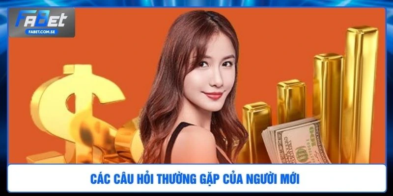 Các câu hỏi thường gặp của người mới 