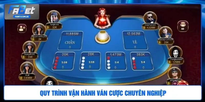 Quy trình vận hành ván cược chuyên nghiệp